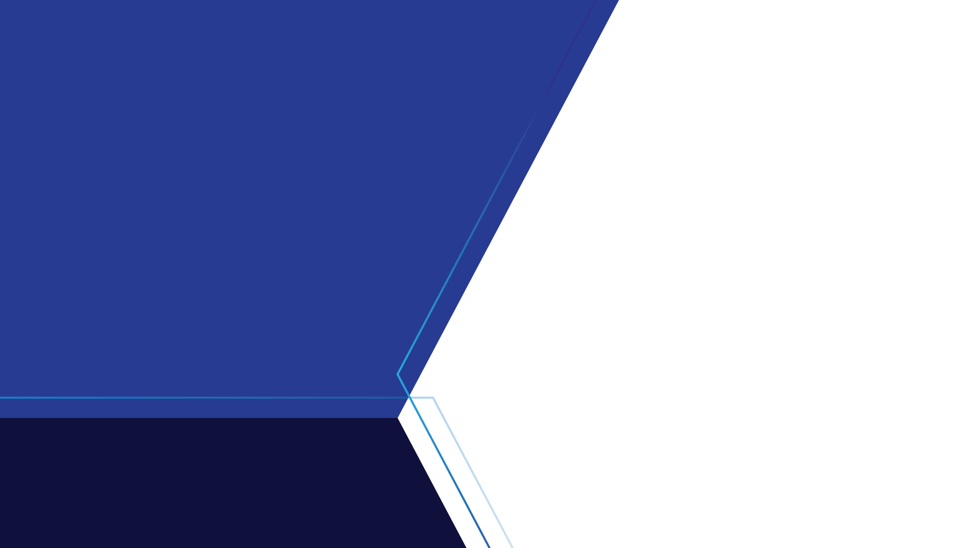 Force Security Logo
