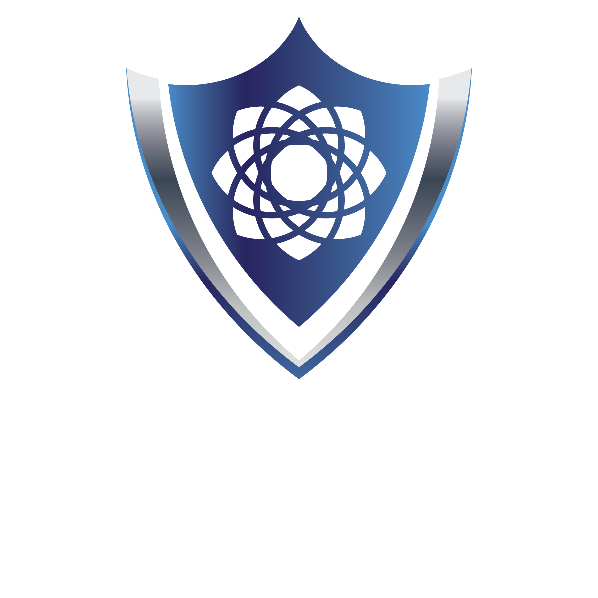 Force Security Logo