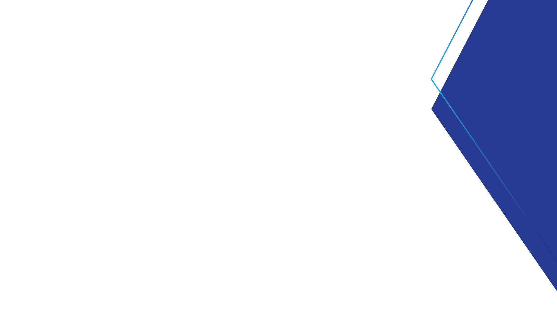 Force Security Background