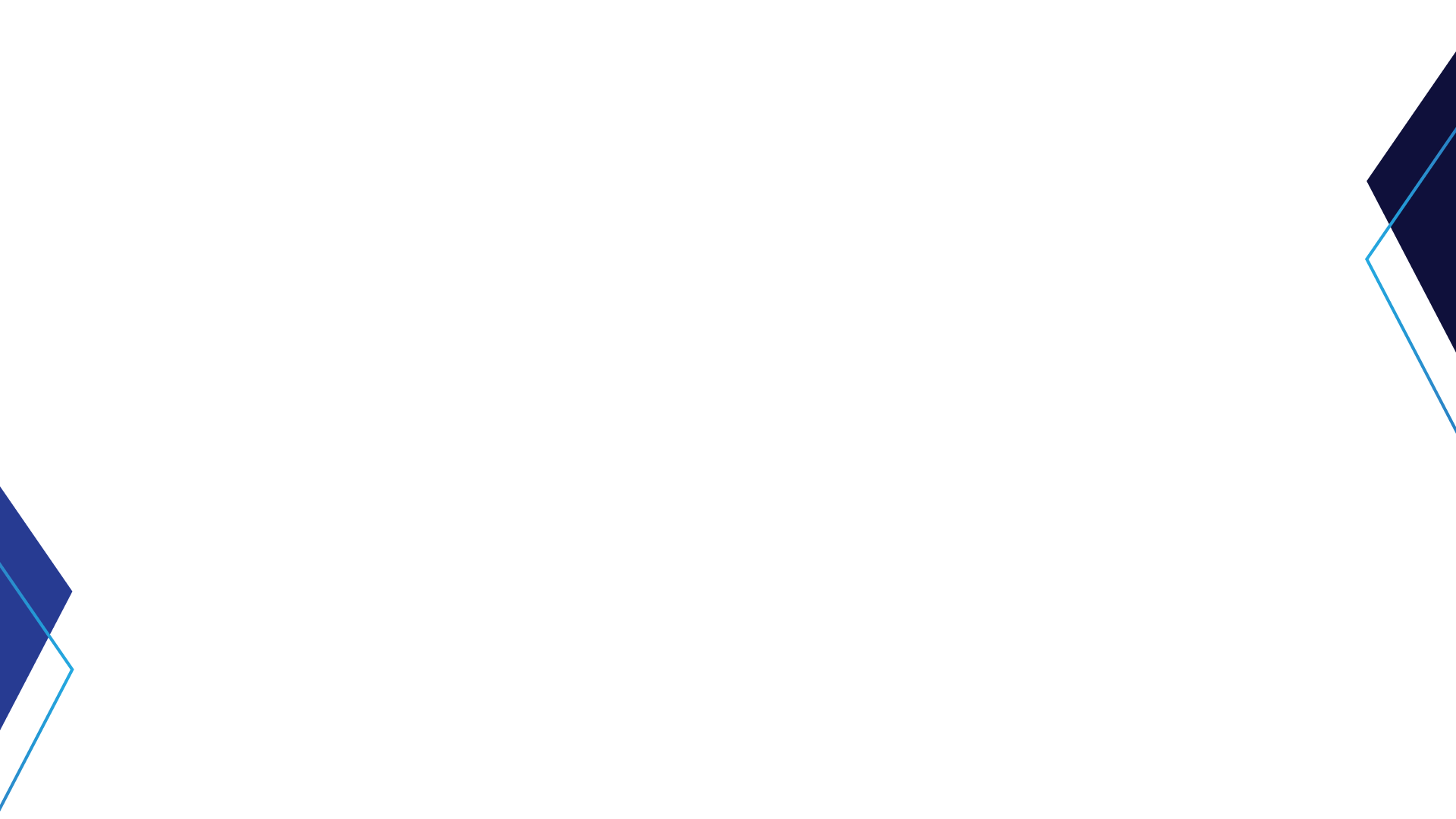 Force Security Customers Background